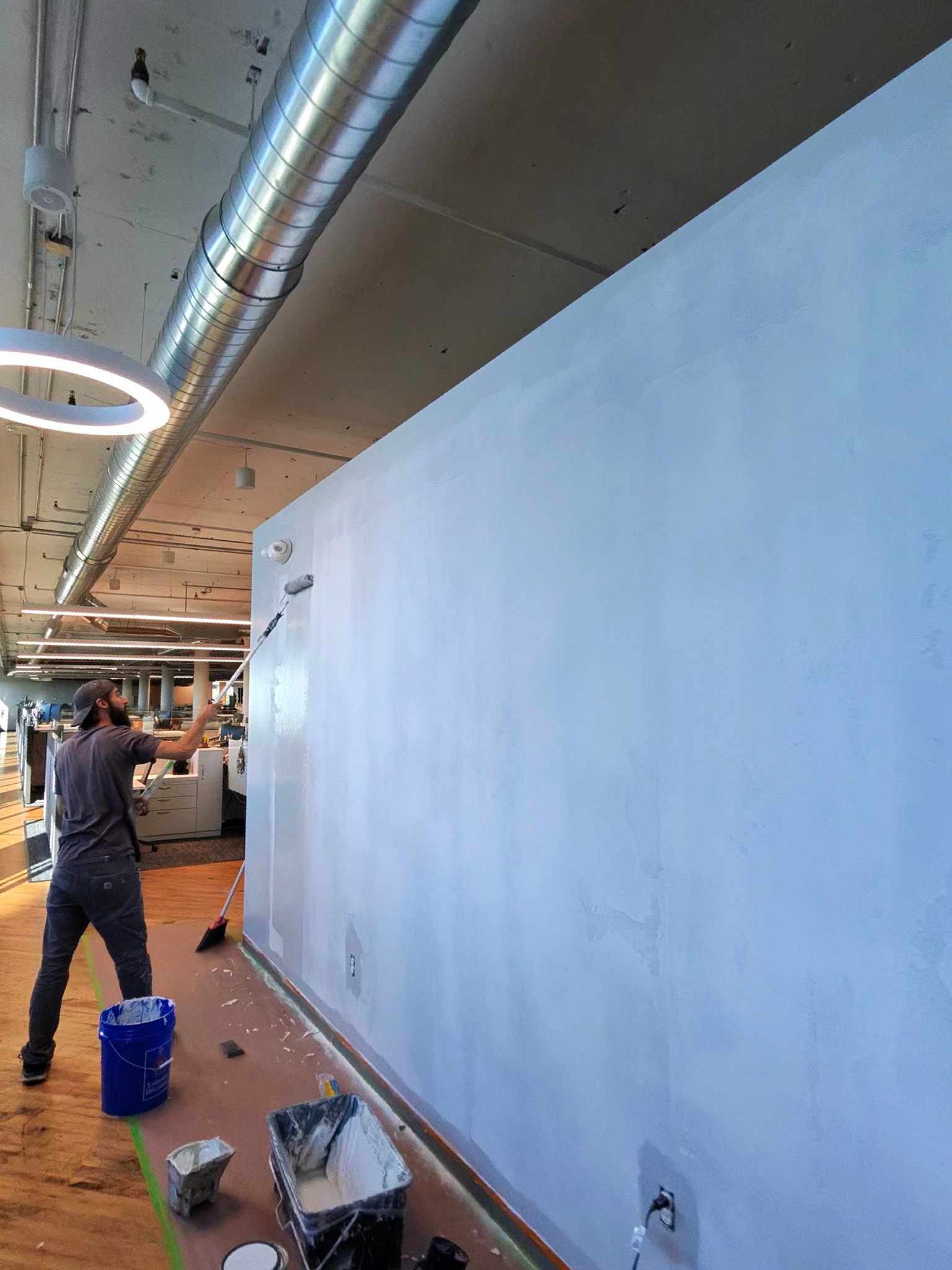 Professional painting in Grosse Ile